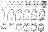 Tutorial on on how to draw an owl: step-by-step