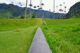 Straight tree trunk lying on ground