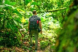 Man with back to camera, wandering through jungle.