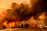 Our Mismanaged Social Ecology is Fueling Misinformation Wildfires