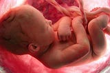 THE BIBLE ON ABORTION: MY PERSPECTIVE