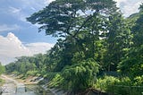 What is our relationship with nature (Part IV)