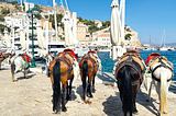 Travel#Greece: Hydra Island