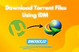 How to Download Torrent Files with IDM in 2024: Quick & Easy Guide