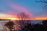 En la fotografía se ve la unión entre el mar y el cielo. Un cielo lleno de tonos naranjos, amarillos, rosados y azulados. En la zona inferior se ve la silueta de algunos árboles sin hojas.