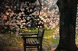 Blossom Bench, Portland, Oregon