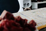 Siamese cat eyeing food on the table.