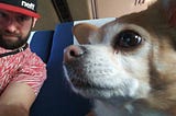 Google Photos is my Most Valuable Tool for Digital Storytelling