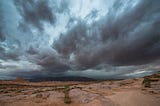 Rain, Dogs and the High Desert