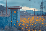 Judgment Border Crossing