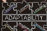 THE IMPORTANCE OF ADAPTABILITY