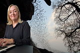 Author Caroline Mitchell writing book with bats in the background