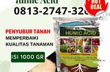 GARA GARA INI CALL 0813–2747–3262, AGEN Asam Humat Way Khilau,