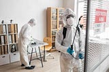 Pest Control in Lucknow