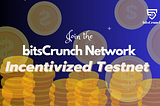 Join the bitsCrunch Testnet Task 1 and Sign Up for the Developer Plan on UnleashNFTs.com