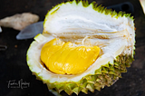 24 Hours Life of A Durian Farmer : Behind The Scenes