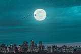 World Sleep Day 2023: Sleep Is Essential for Health