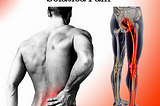 Suffering from Sciatica Pain? Look for the Right Chiropractor