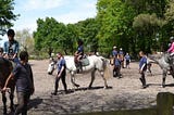 Fermeture du Poney club de Martignas sur Jalle