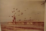 Tall teen boy & 4-year-old girl feeding a flock of gulls
