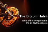 Embracing the Bitcoin Halving: OrangeDX’s Perspective