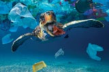 Microplastics in the Ocean