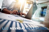 NEVADA Corporation & LLC