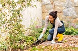 Save some money with backyard gardening