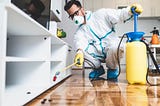 PestPest Control in Bangalore: Keeping Your Home Pest-Free
