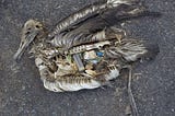 The Facts of Ocean Pollution: Where it Comes From, Where it is Going and What we can do to help?