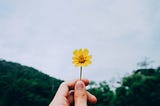 Stop Chasing Happiness & Do This Instead