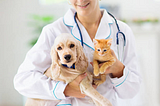 Article 4: Online Pharmacies and Pet Medications