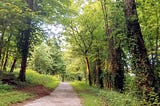 Lessons from the Woods