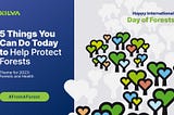 5 Things You Can Do Today to Help Protect Forests