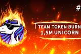 #3 Burn Team Fund UNICORN Token