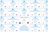I Earned 19 Salesforce Certifications in 1 Year (365 Days, or 12 Moths)