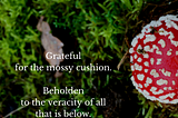 Photo of moss and a toadstool with a poem: Grateful for the mossy cushion. Beholden to the veracity of all that is below.