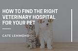 How to Find the Right Veterinary Hospital For Your Pet