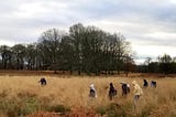 Trekking in Richmond Park(4th-Jan.-2022)