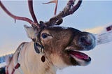 20 Ways for Festive Fun Under a Buck