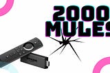 How to Watch 2000 Mules on Firestick