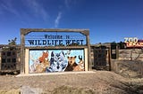 The Overnight at Wildlife West