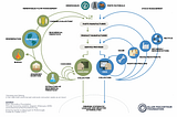 Who are the circular economy players in Malaysia?