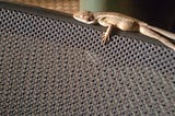 I see you