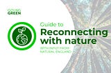 Guide to Reconnecting with Nature