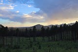 A Reflection on My Connection to Nature