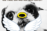 Photo of dog with halo as nose and angel wings as whiskers. Title God made dog and dog was perfect