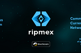 Real Time gross Payment system Commission-Free Currency Exchange Network