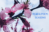 Read A Poem; Seasons.