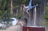Yellowstone’s Flying Grandpa: Why an Angry Bison Turned One Tourist Into an Accidental Astronaut
